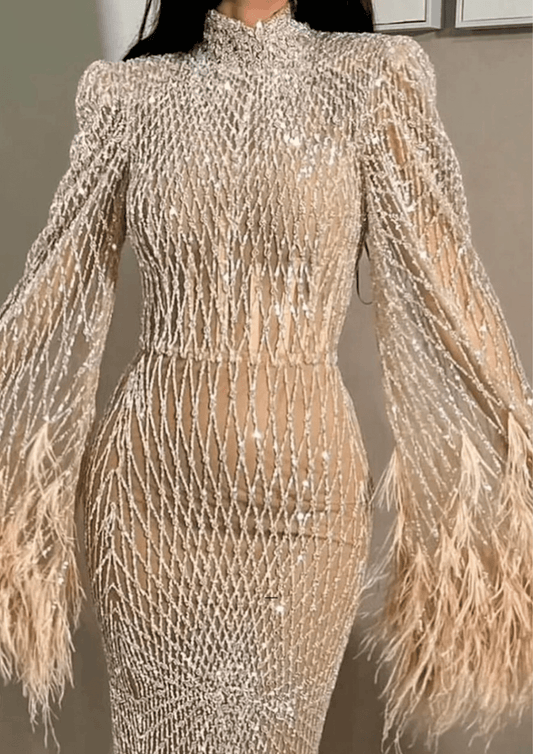 Elegant Embellished Evening Gown - dressupaccessories