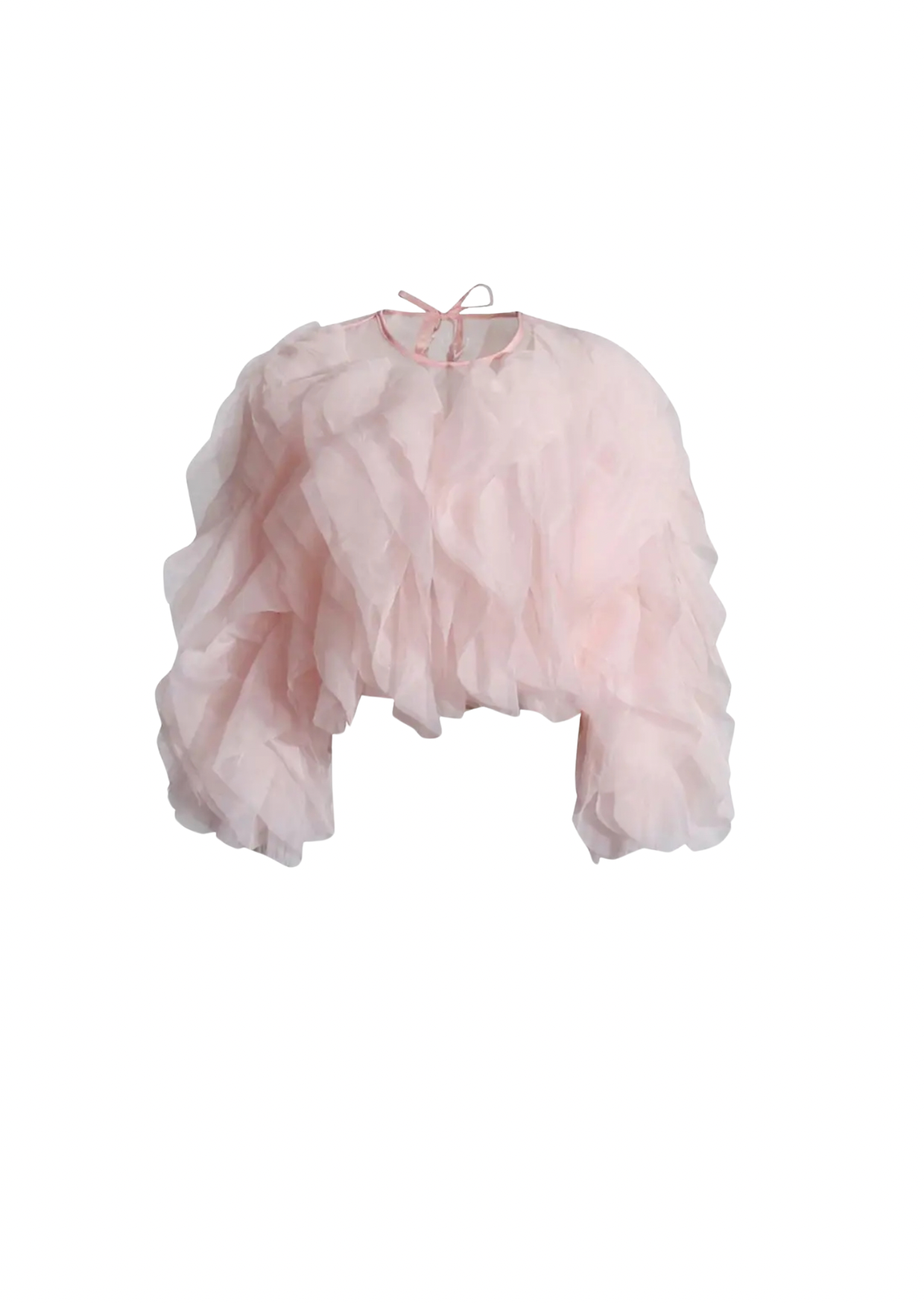 Chiffon Ruffle Blouse Long Sleeve