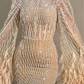 Elegant Embellished Evening Gown