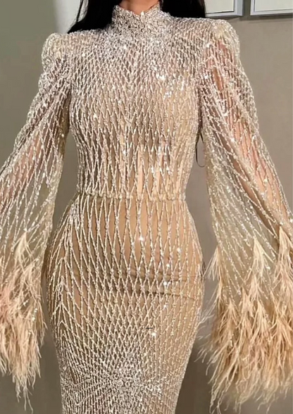 Elegant Embellished Evening Gown