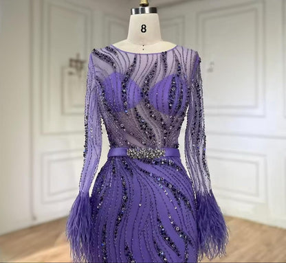Sleeve feathers see though beaded dress - dressupaccessories